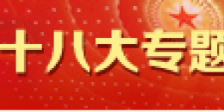 中共十八大报道