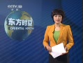 李东生被调查