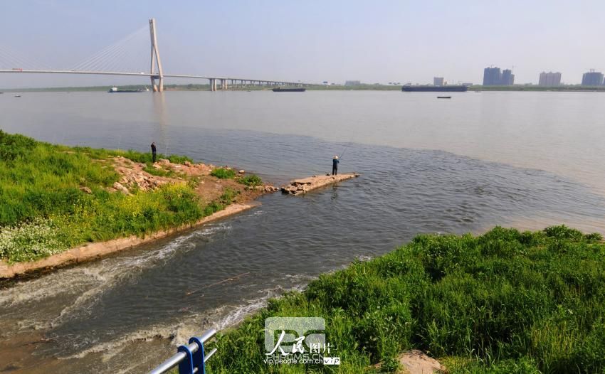 安徽安庆：市政排水口污水直接向长江排放