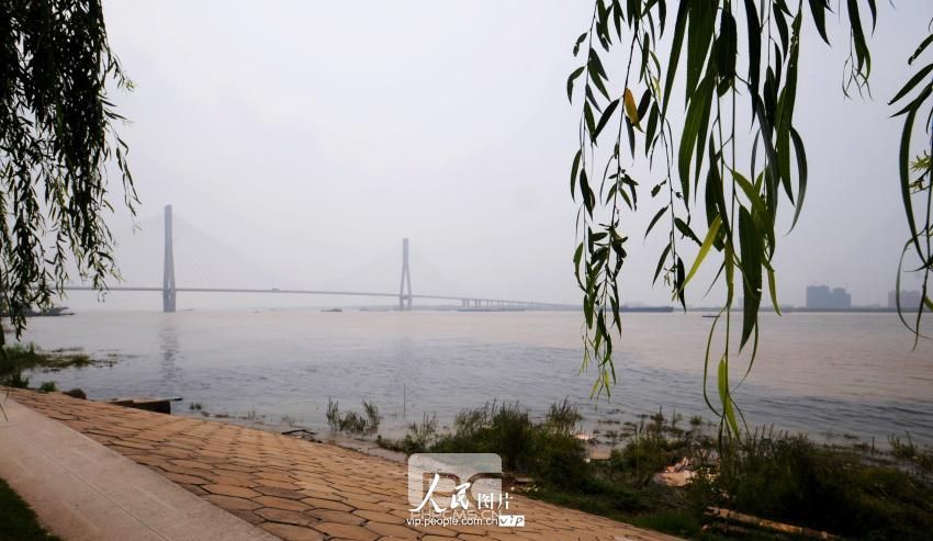 安徽安庆：市政排水口污水直接向长江排放【3】