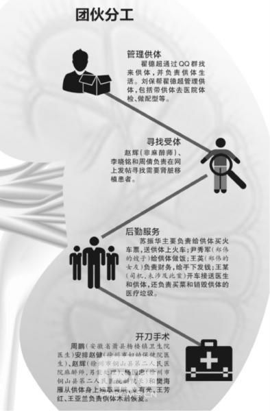 全国最大贩肾案终审 组织者摘肾51枚获利千万