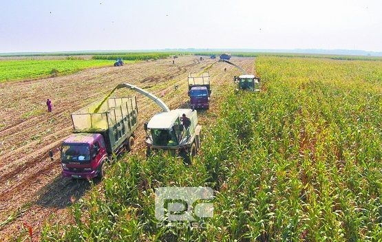 安徽省秋收秋种顺利推进 已收获一季稻面积过半