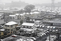 日本东京迎来54年不遇的降雪