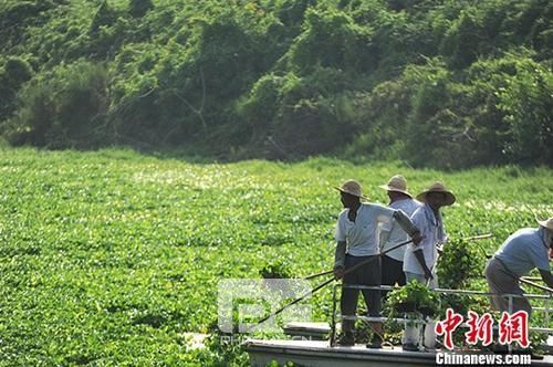 资料图：生态打捞船。 中新社记者 张娅子 摄