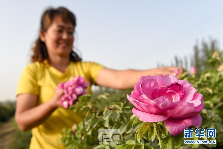 （新华全媒头条·决战决胜脱贫攻坚·图文互动）（8）冲锋！脱贫拔寨又攻城——“三区三州”南疆四地州脱贫攻坚报告