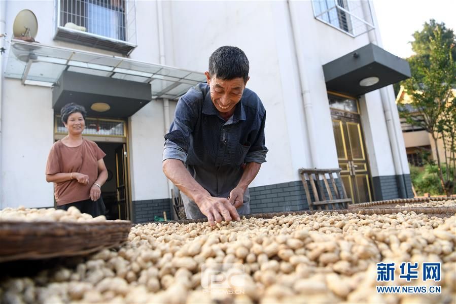 （集中连片特困地区贫困村调研行·图文互动）（3）贫困大湾焕发勃勃生机——安徽金寨县大湾村脱贫调查